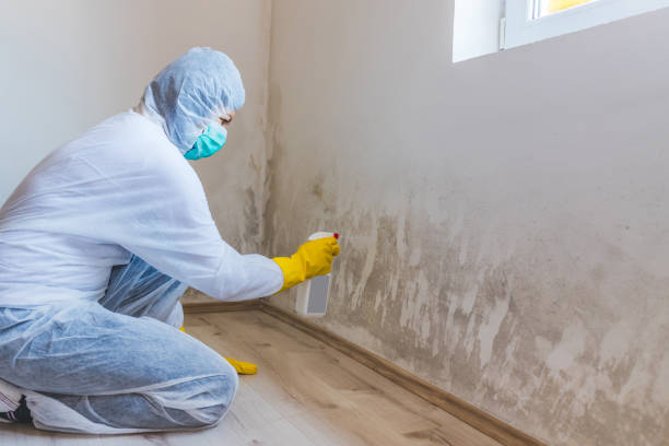 Bathroom Mold Removal assessment in Loretto bathroom